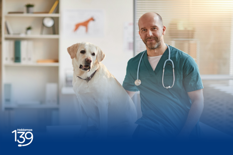 male-veterinarian-posing-with-dog-at-vet-clinic-edit